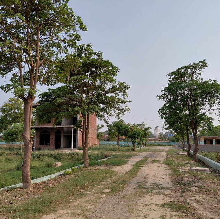 Exterior View, dankaur  100 Sq.Yd. Plot In Dankaur Greater Noida 8801834