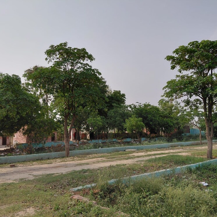 Exterior View, dankaur  100 Sq.Yd. Plot In Dankaur Greater Noida 8801834