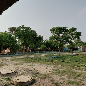 Plot Area in  Plot at Dankaur – for Sale