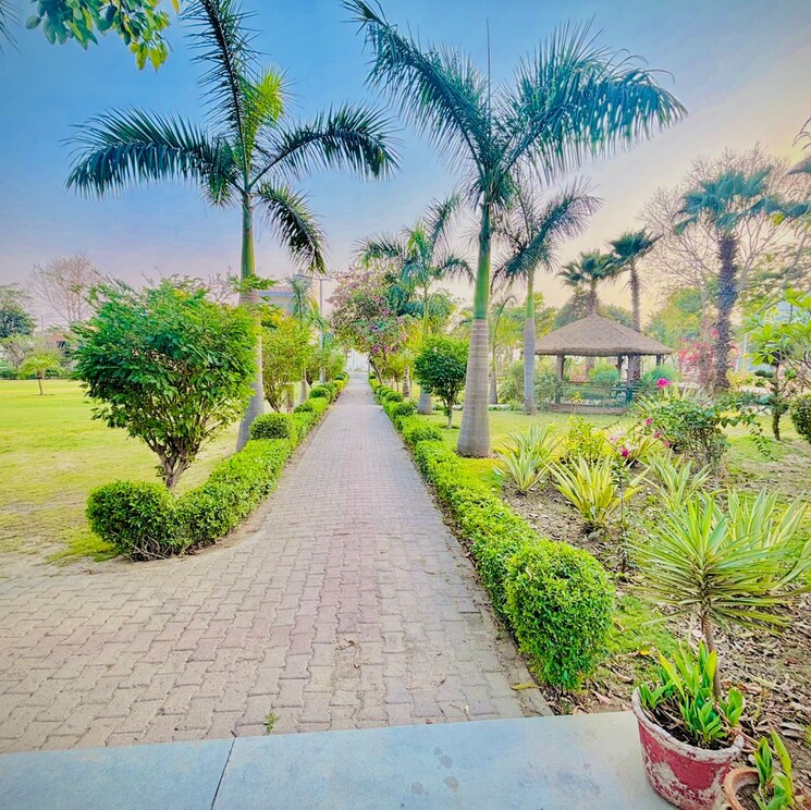 Garden, zestha-bhagirath-vihar-residency  200 Sq.Yd. Plot In Murshadpur Greater Noida 8801854