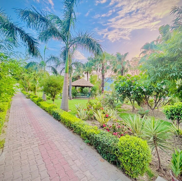 Garden, zestha-bhagirath-vihar-residency  200 Sq.Yd. Plot In Sector 27 Yamuna Expressway Greater Noida 8801944