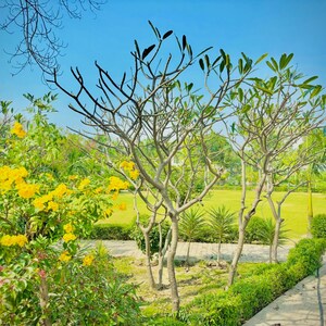 Plot Area in  Plot at Zestha Bhagirath Vihar Residency, Sector 27 Yamuna Expressway – for Sale