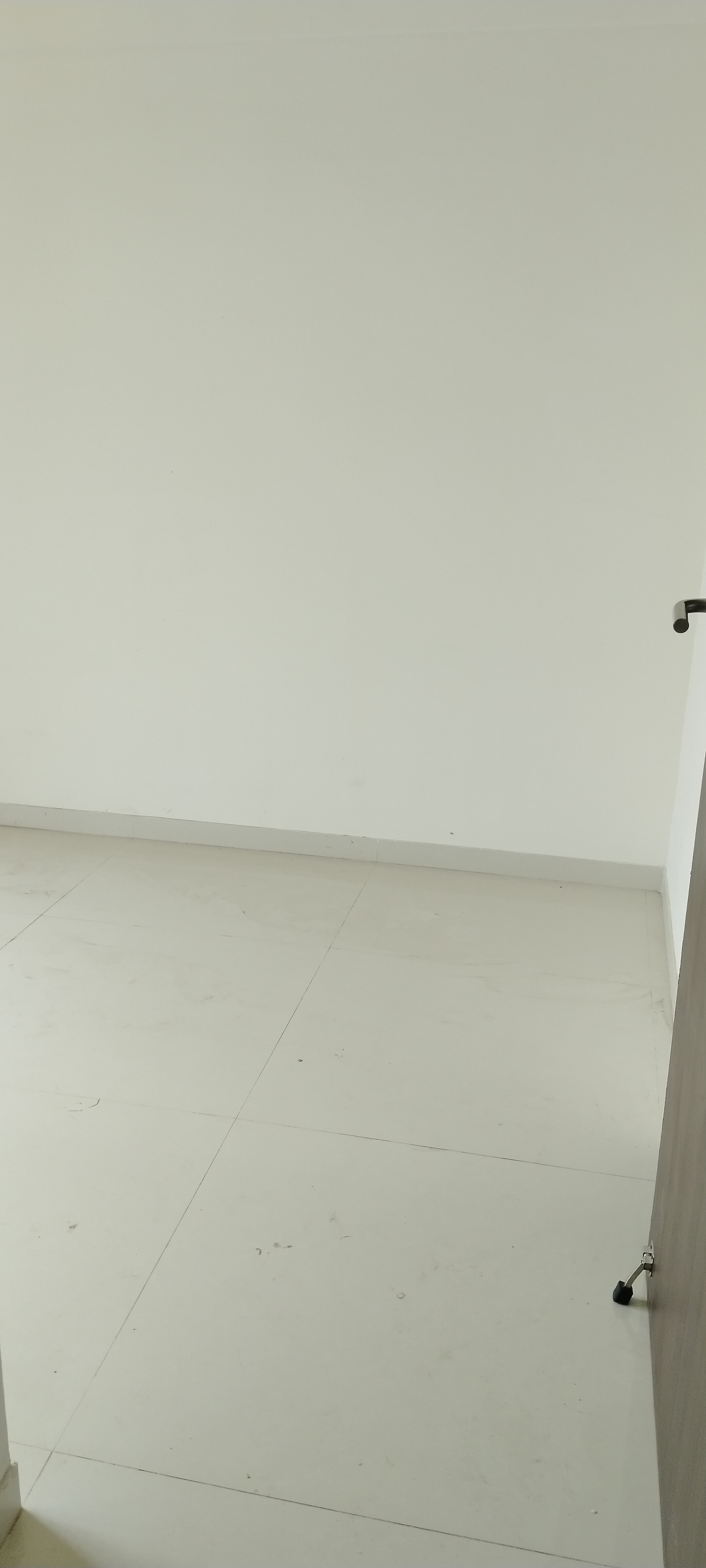 1 BHK Apartment For Rent in Lodha Paradise