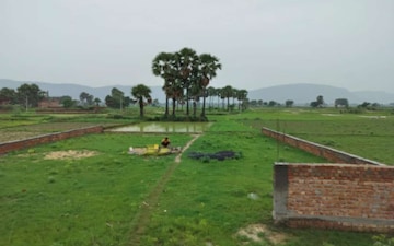 Plot For Sale in Sector 35