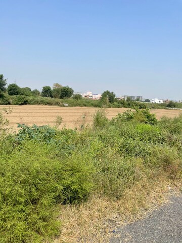  Plot For Sale in Yamuna Expressway