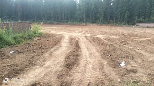 Plot Area in  Plot at Raipur – for Sale