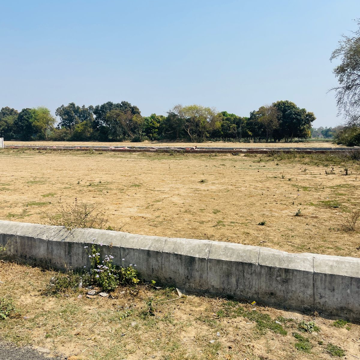 Plot For Sale in Ranveer Enclave 