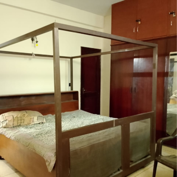 3 BHK Apartment For Rent in Dlf Phase ii