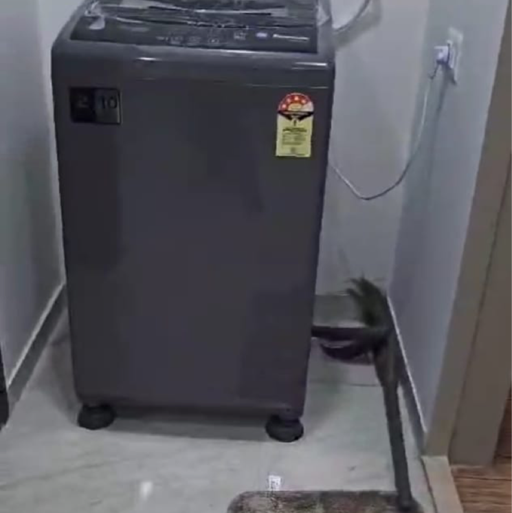 undefined, lodha-crown-quality-homes 1 Bedroom 317 Sq.Ft. Apartment In Saket Complex Thane 8802258