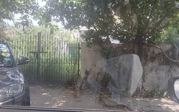 Plot For Sale in Noida Central
