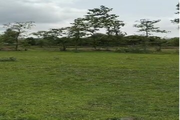 Plot Area in  Plot at Sapahale East – for Sale