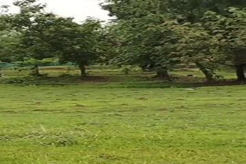 Plot – Garden View at Sapahale East - for Sale