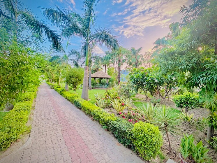 Garden, zestha-bhagirath-vihar-residency  250 Sq.Yd. Plot In Sector 27 Yamuna Expressway Greater Noida 8802465