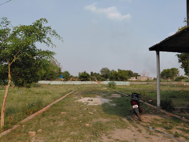 Garden, sector 17 yamuna expressway  100 Sq.Yd. Plot In Sector 17 Yamuna Expressway Greater Noida 8802543