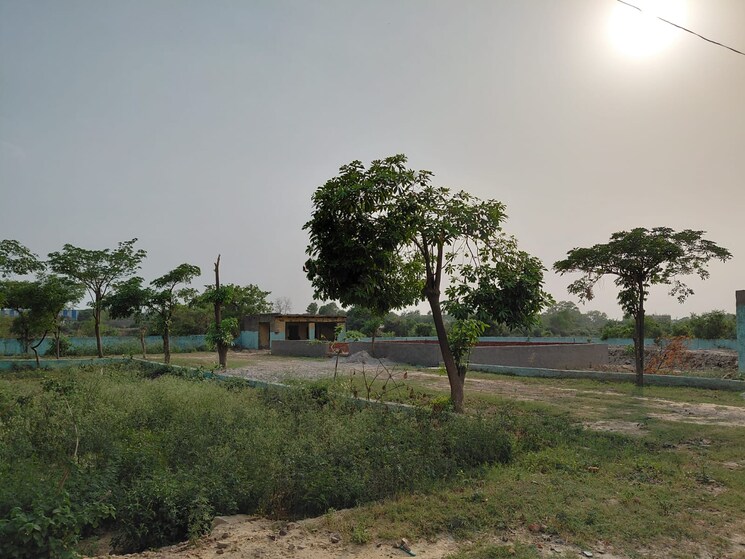 undefined, sector 17 yamuna expressway  100 Sq.Yd. Plot In Sector 17 Yamuna Expressway Greater Noida 8802543