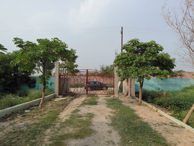 Garden, sector 17 yamuna expressway  100 Sq.Yd. Plot In Sector 17 Yamuna Expressway Greater Noida 8802543
