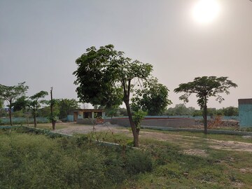 Plot Area in  Plot at Sector 17 Yamuna Expressway – for Sale