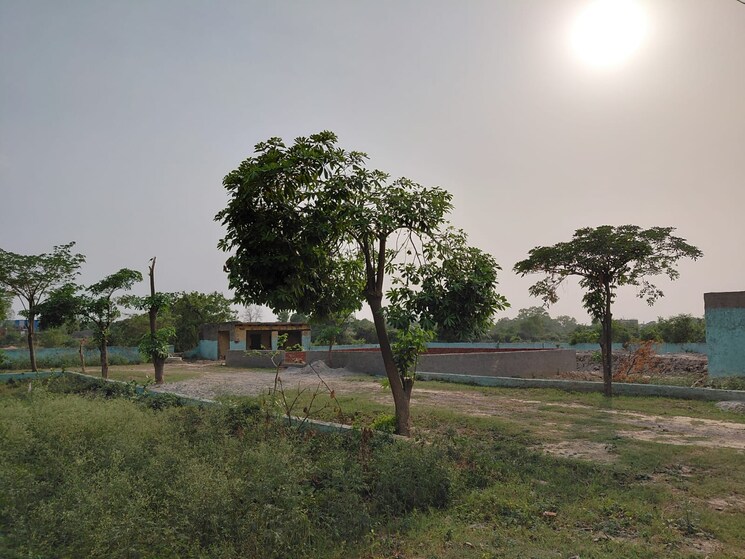 undefined, sector 17 yamuna expressway  100 Sq.Yd. Plot In Sector 17 Yamuna Expressway Greater Noida 8802543