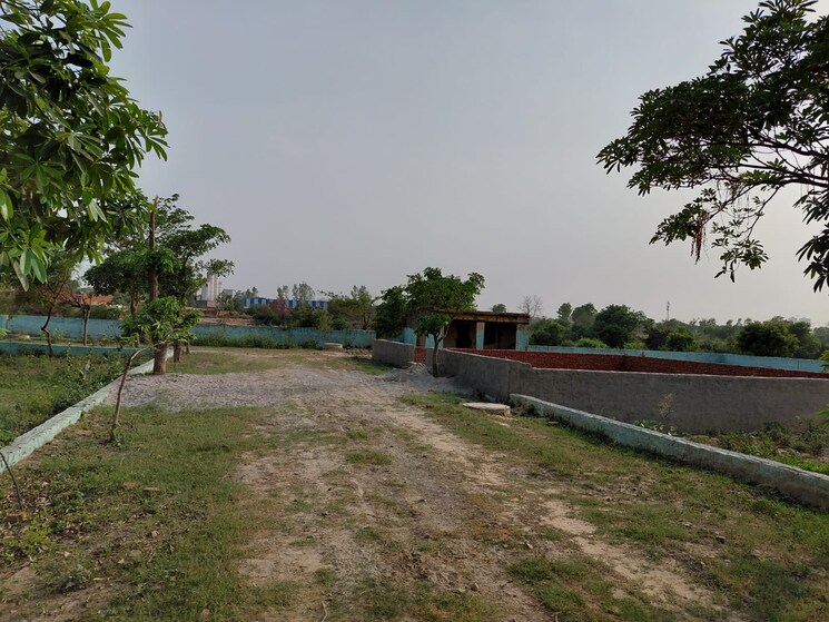 undefined, sector 17 yamuna expressway  100 Sq.Yd. Plot In Sector 17 Yamuna Expressway Greater Noida 8802543