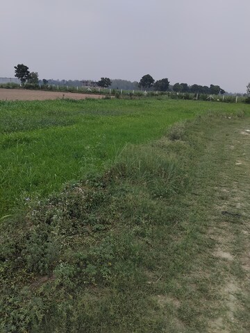  Plot – Garden View at Selakui - for Sale