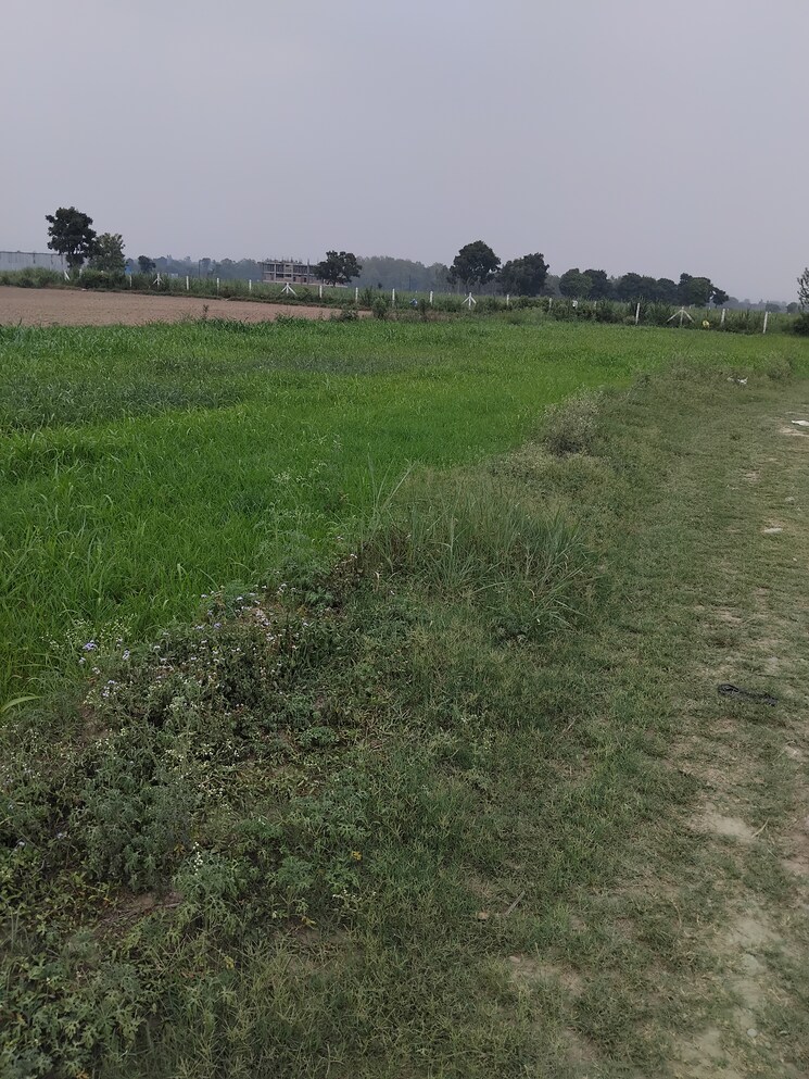 Garden, selakui  260 Sq.Yd. Plot In Selakui Dehradun 8802586