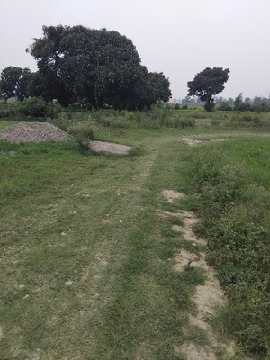 Plot Area in  Plot at Selakui – for Sale