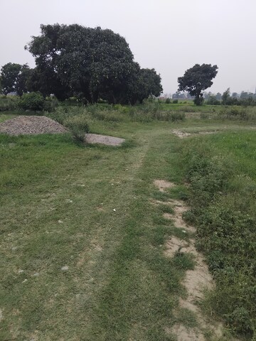 Plot Area in  Plot at Selakui – for Sale