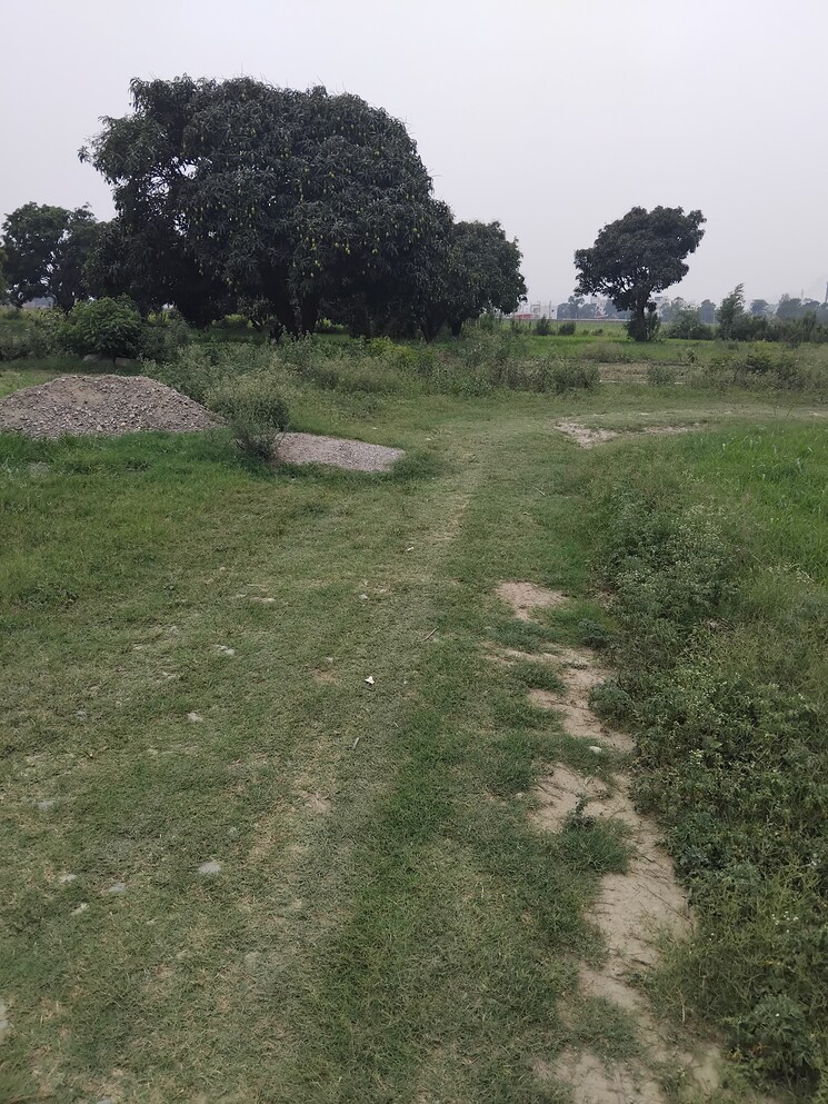undefined, selakui  260 Sq.Yd. Plot In Selakui Dehradun 8802586