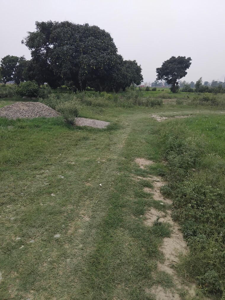 undefined, selakui  260 Sq.Yd. Plot In Selakui Dehradun 8802586