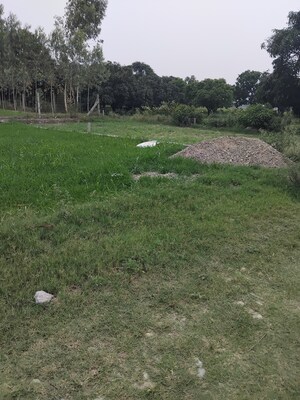 Plot Area in  Plot at Selakui – for Sale
