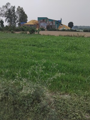  Plot – Garden View at Selakui - for Sale