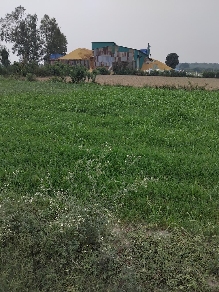 Garden, selakui  260 Sq.Yd. Plot In Selakui Dehradun 8802586