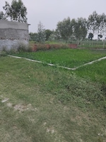 260 Sq.Yd. Plot in Selaqui  Dehradun 