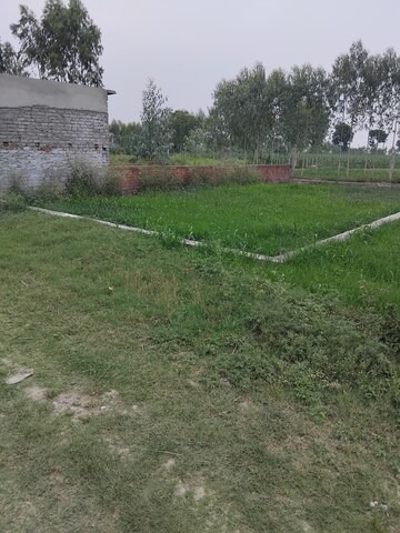  Plot For Sale in Selakui
