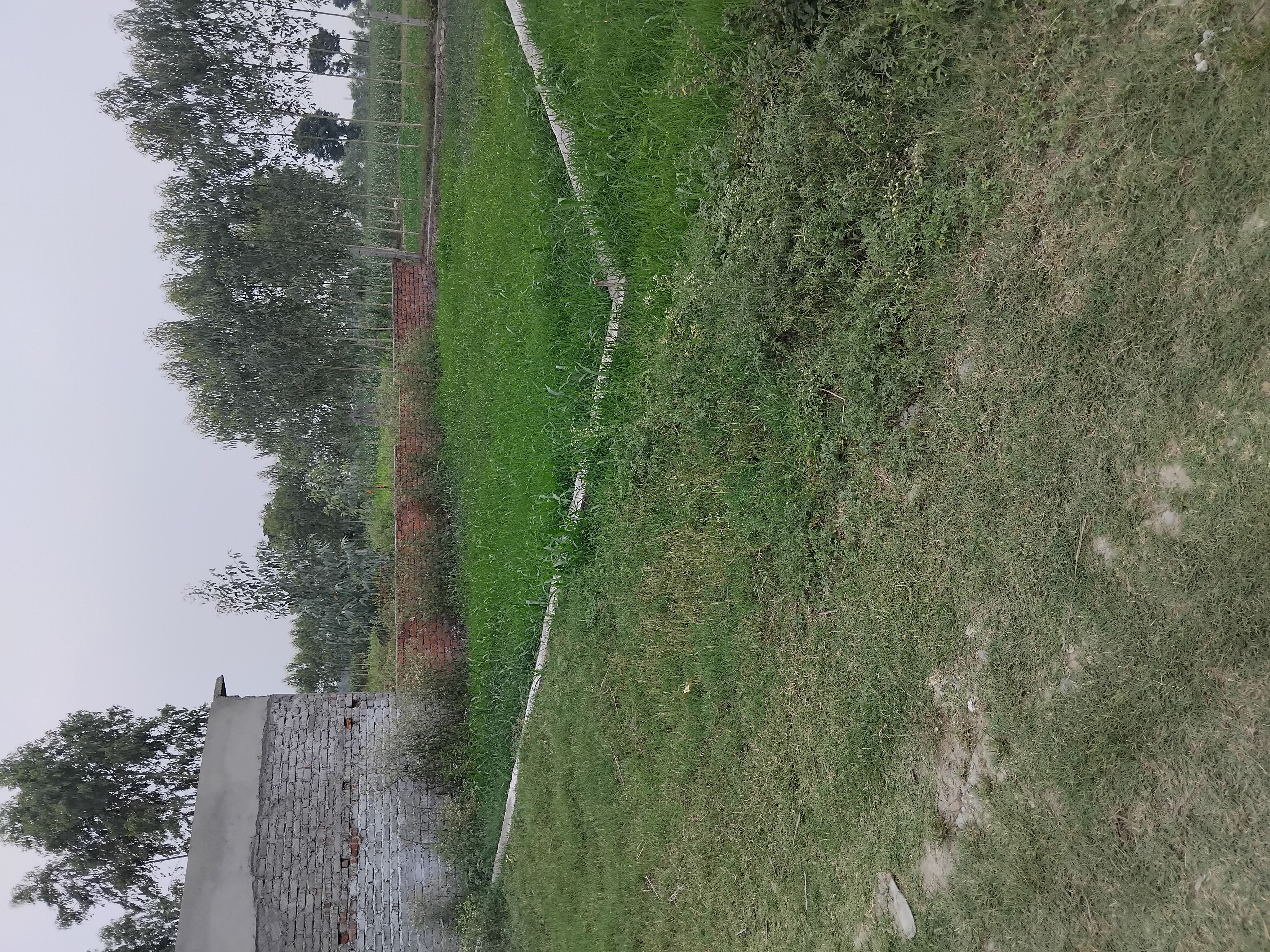 Plot For Sale in Selaqui  Dehradun 