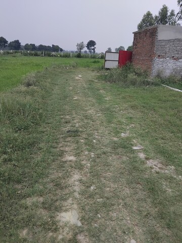   Plot at Selakui – for Sale