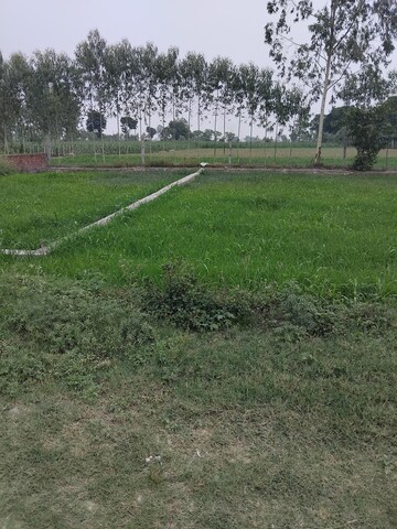 Plot Area in  Plot at Selakui – for Sale