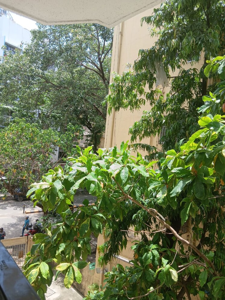 Garden, vile parle east 1.5 Bedroom 565 Sq.Ft. Apartment In Vile Parle East Mumbai 8802582