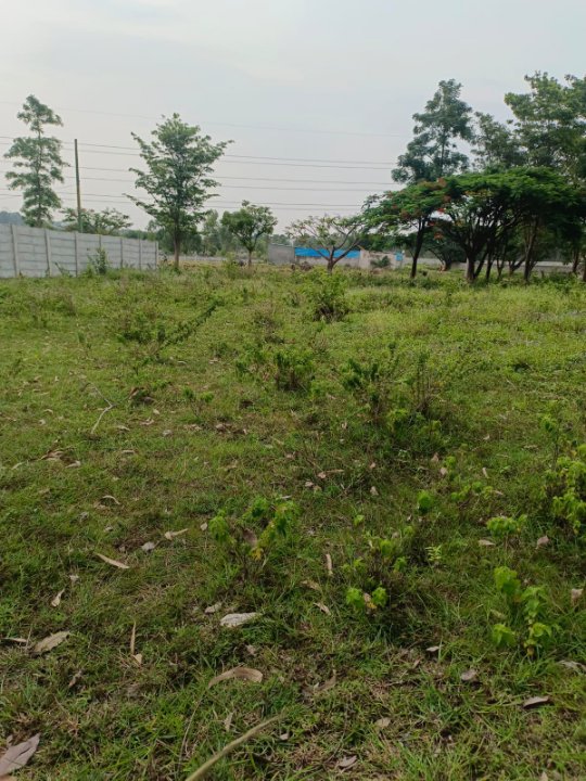 Plot For Sale in LG Rose Heritage