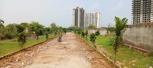 Plot Area in  Plot at Sector 25 Yamuna Expressway – for Sale