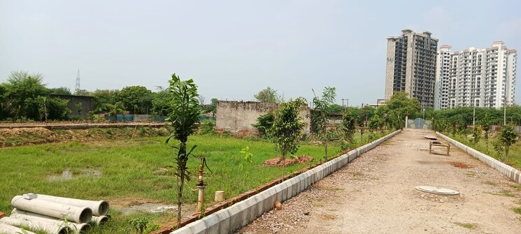 undefined, sector 25 yamuna expressway  100 Sq.Yd. Plot In Sector 25 Yamuna Expressway Greater Noida 8803415