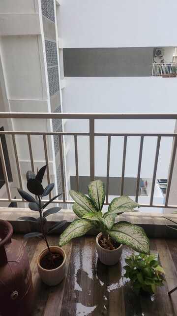 2 BHK Apartment For Rent in Saheel Itrend Life, Wakad