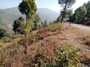 Plot Area in  Land at Mukteshwar – for Sale