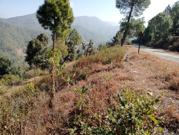 undefined, mukteshwar Commercial Land 2300 Sq.Ft. In Mukteshwar Nainital 8803947