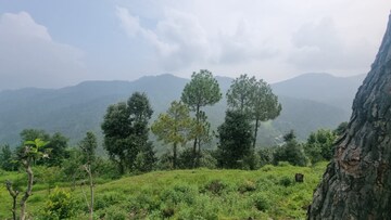  Land – Garden View at Mukteshwar - for Sale