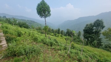  Land For Sale in Mukteshwar