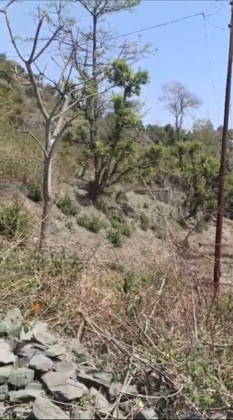 undefined, bhimtal Commercial Land 5500 Sq.Ft. In Bhimtal Nainital 8803959