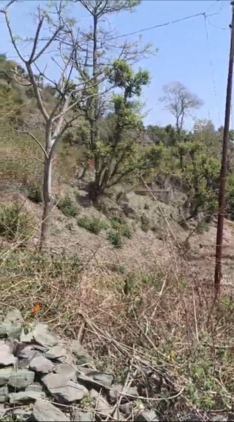 undefined, bhimtal Commercial Land 5500 Sq.Ft. In Bhimtal Nainital 8803959