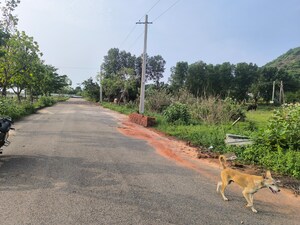 Plot Area in  Plot at Anandapuram – for Sale