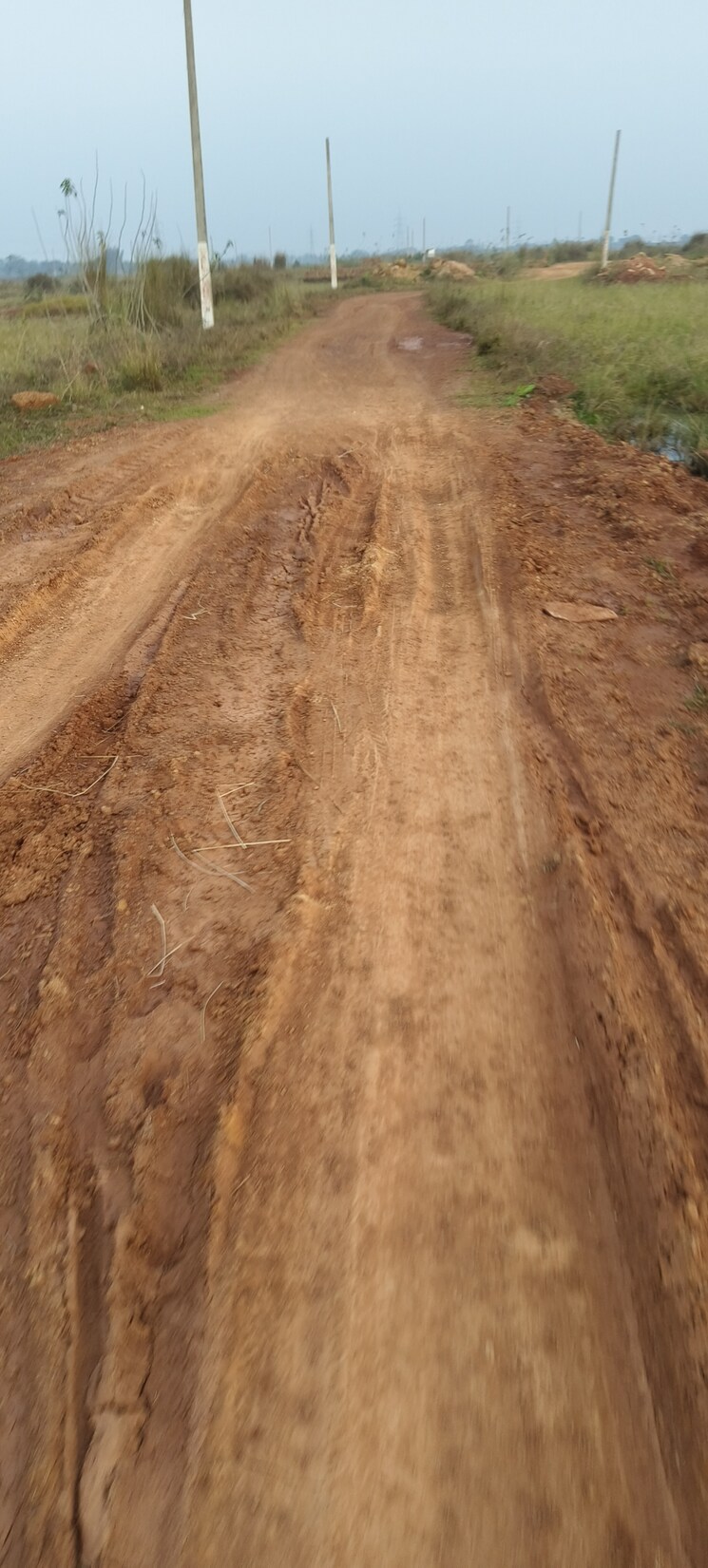 undefined, bhagawanpur  1518 Sq.Ft. Plot In Bhagawanpur Bhubaneswar 8804772